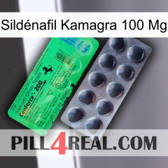 Sildénafil Kamagra 100 Mg new04